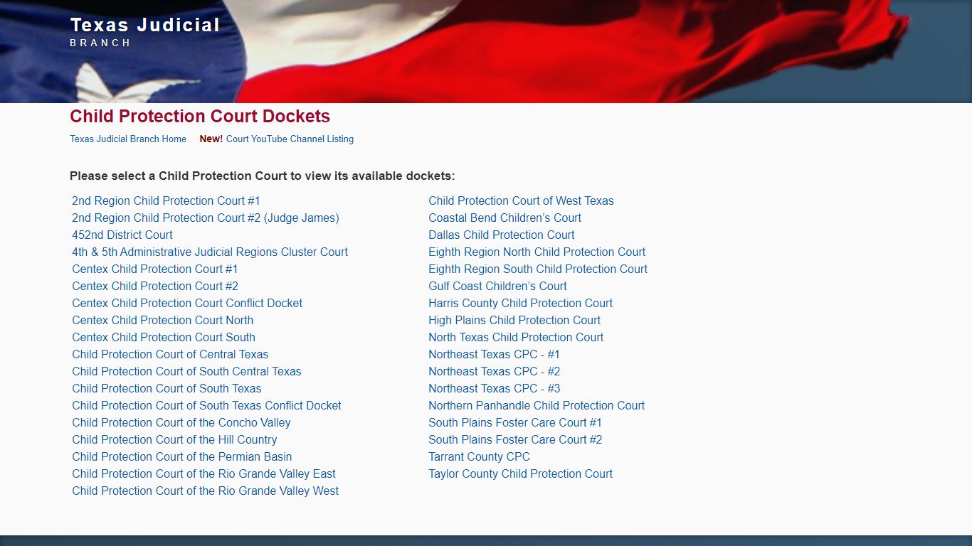 Texas Courts Online | Child Protection Court Dockets